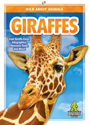 Girafes - Giraffes