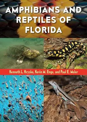 Amphibiens et reptiles de Floride - Amphibians and Reptiles of Florida