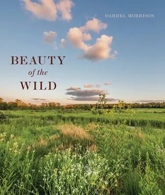 La beauté de la nature : une vie à concevoir des paysages inspirés par la nature - Beauty of the Wild: A Life Designing Landscapes Inspired by Nature