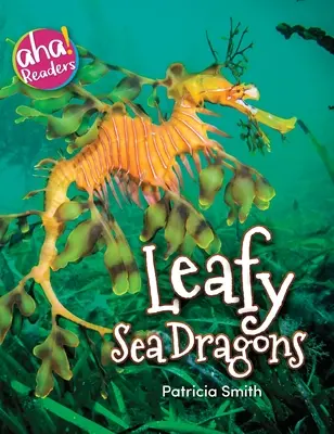 Dragons de mer feuillus - Leafy Sea Dragons