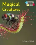 Créatures magiques - Phonics Phase 5 - Magical Creatures - Phonics Phase 5