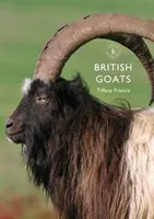 Chèvres britanniques - British Goats