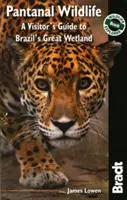 Bradt Pantanal Wildlife : Guide du visiteur de la grande zone humide du Brésil - Bradt Pantanal Wildlife: A Visitor's Guide to Brazil's Great Wetland