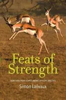 Les exploits de la force : comment l'évolution façonne les capacités athlétiques des animaux - Feats of Strength: How Evolution Shapes Animal Athletic Abilities