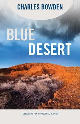 Désert bleu - Blue Desert