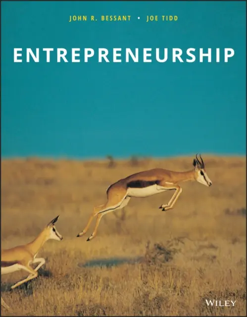 L'esprit d'entreprise - Entrepreneurship