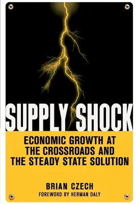 Le choc de l'offre : la croissance économique à la croisée des chemins et la solution de l'état stationnaire - Supply Shock: Economic Growth at the Crossroads and the Steady State Solution