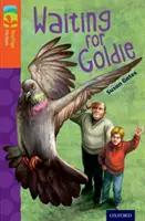 Oxford Reading Tree TreeTops Fiction : Niveau 13 : En attendant Goldie - Oxford Reading Tree TreeTops Fiction: Level 13: Waiting for Goldie