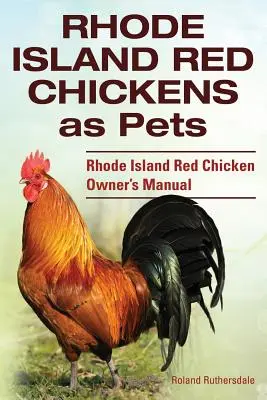 Les poulets rouges du Rhode Island comme animaux de compagnie. Manuel du propriétaire d'une poule rouge du Rhode Island. - Rhode Island Red Chickens as Pets. Rhode Island Red Chicken Owner's Manual