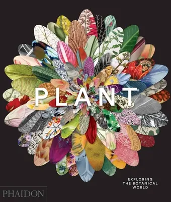 Plante : Exploration du monde botanique - Plant: Exploring the Botanical World