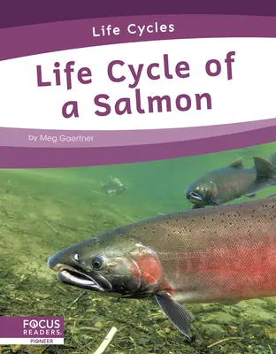 Cycle de vie d'un saumon - Life Cycle of a Salmon