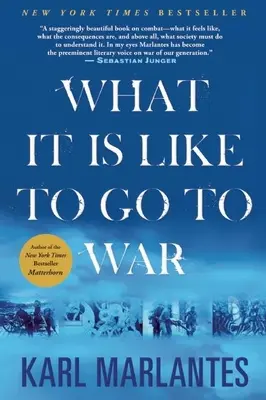 Ce que c'est que de partir à la guerre - What It Is Like to Go to War