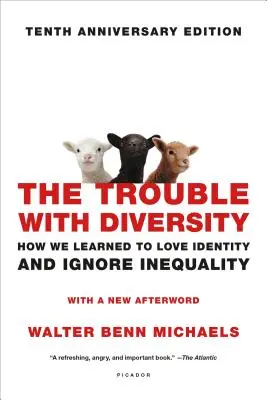 Le problème de la diversité : Comment nous avons appris à aimer l'identité et à ignorer l'inégalité - The Trouble with Diversity: How We Learned to Love Identity and Ignore Inequality