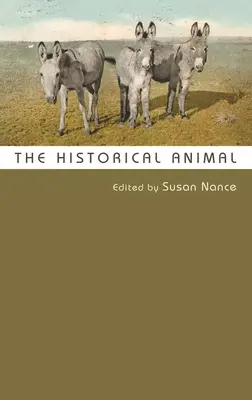 L'animal historique - The Historical Animal