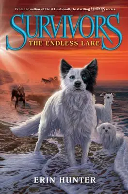 Survivors #5 : Le lac sans fin - Survivors #5: The Endless Lake
