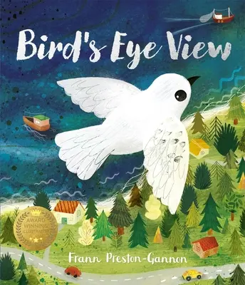 Vue d'oiseau - Bird's Eye View