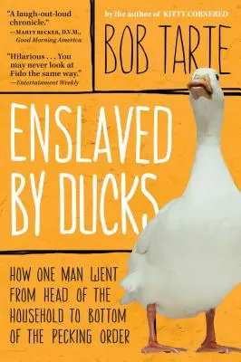 Asservis par les canards - Enslaved by Ducks