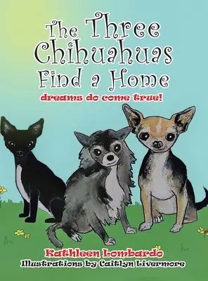 Les trois chihuahuas trouvent un foyer - The Three Chihuahuas Find a Home