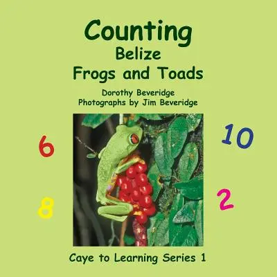 Compter les grenouilles et les crapauds du Belize - Counting Belize Frogs and Toads