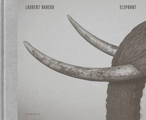 L'éléphant - Elephant