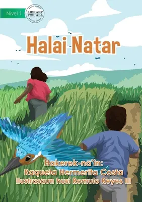 Culture du riz - Halai Natar - Rice Cultivation - Halai Natar