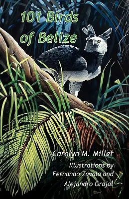 101 oiseaux du Belize - 101 Birds of Belize