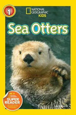 Loutres de mer - Sea Otters