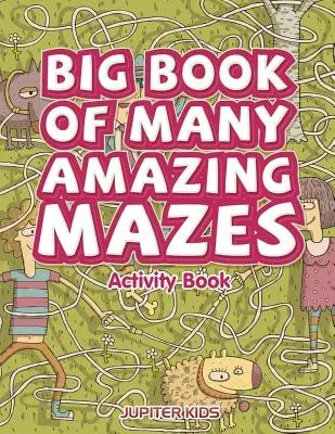 Grand livre de labyrinthes étonnants Cahier d'activités - Big Book of Many Amazing Mazes Activity Book