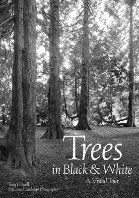 Les arbres en noir et blanc : Une visite visuelle - Trees in Black & White: A Visual Tour