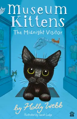 Le visiteur de minuit - The Midnight Visitor