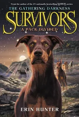 Les survivants : The Gathering Darkness #1 : Une meute divisée - Survivors: The Gathering Darkness #1: A Pack Divided
