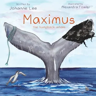 Maximus la baleine à bosse - Maximus the Humpback Whale