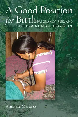 Une bonne position pour l'accouchement : Grossesse, risque et développement dans le sud du Belize - A Good Position for Birth: Pregnancy, Risk, and Development in Southern Belize