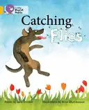 Attraper des mouches - Catching Flies