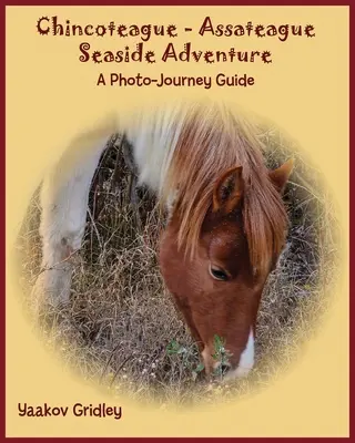 Chincoteague-Assateague Seaside Adventure : Un guide de voyage photographique - Chincoteague-Assateague Seaside Adventure: A Photo-Journey Guide