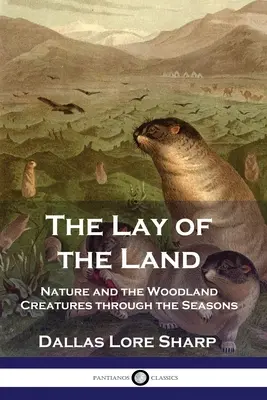 La nature et les créatures des bois au fil des saisons : La nature et les créatures des bois au fil des saisons - The Lay of the Land: Nature and the Woodland Creatures through the Seasons