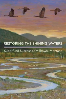 Restaurer les eaux brillantes : Le succès du Superfund à Milltown, Montana - Restoring the Shining Waters: Superfund Success at Milltown, Montana