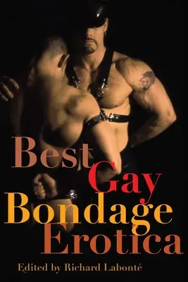 Meilleur érotique gay sur le bondage - Best Gay Bondage Erotica