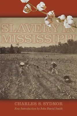 L'esclavage dans le Mississippi - Slavery in Mississippi