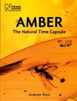 Ambre - La capsule temporelle naturelle - Amber - The Natural Time Capsule