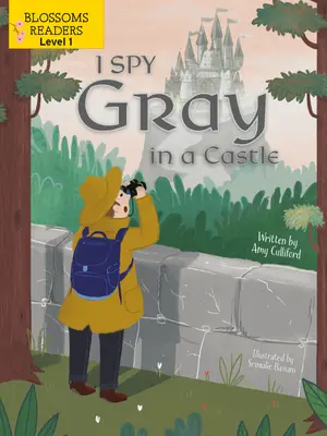 J'espionne le gris dans un château - I Spy Gray in a Castle