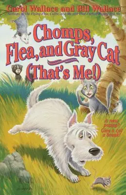 Chomps, puce et chat gris (c'est moi !) - Chomps, Flea, and Gray Cat (That's Me!)
