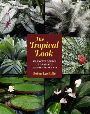 L'aspect tropical : Une encyclopédie de plantes paysagères spectaculaires - The Tropical Look: An Encyclopedia of Dramatic Landscape Plants