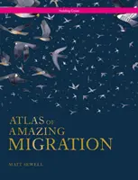 Atlas des migrations étonnantes - Atlas of Amazing Migration