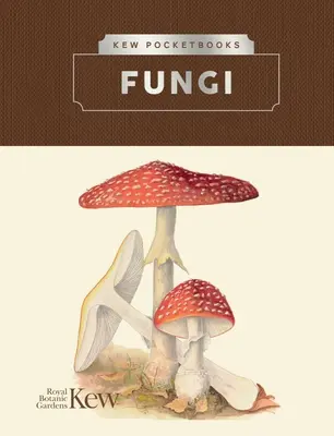 Kew Pocketbooks : Champignons - Kew Pocketbooks: Fungi