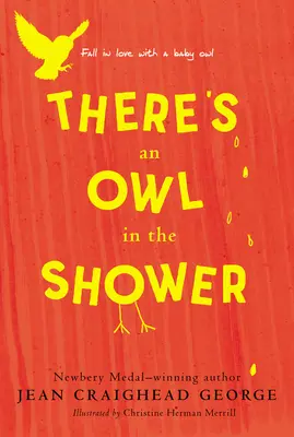 Il y a un hibou dans la douche - There's an Owl in the Shower