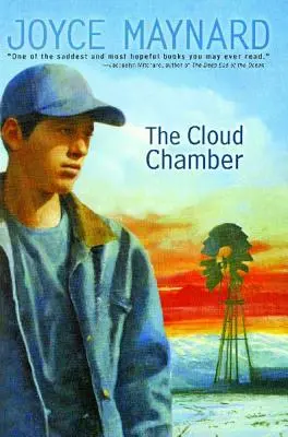 La chambre des nuages - The Cloud Chamber