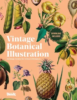 Illustration botanique d'époque - Vintage Botanical Illustration