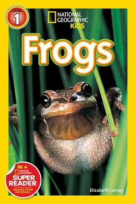 Grenouilles - Frogs