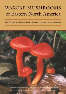 Champignons à tête de lin de l'est de l'Amérique du Nord - Waxcap Mushrooms of Eastern North America